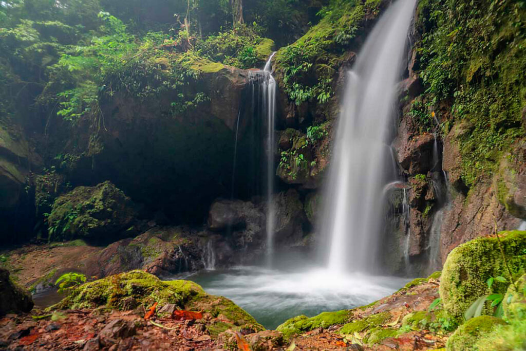 Catarata Gloriapata en el Parque Nacional de Tingo María, rodeada de vegetación selvática