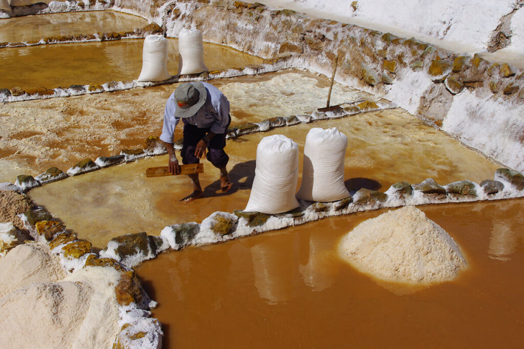 Trabajador recolectando sal en una poza activa de Maras, junto a sacos llenos y montículos de sal cristalizada