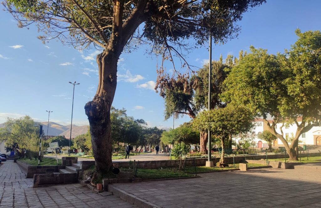 Vista de la Plaza San Francisco en Cusco, con árboles frondosos, áreas verdes y ambiente sereno