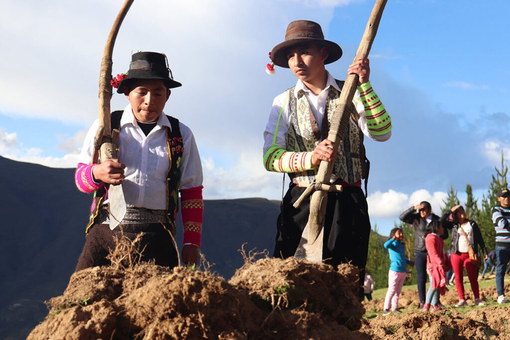 Jóvenes campesinos de Tápuc durante el Lishtay, tradición agrícola de Pasco que une trabajo y ritual andino