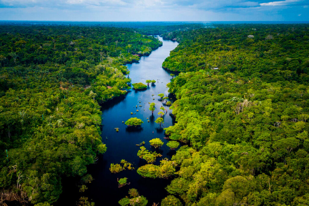 Vista aérea del río serpenteando entre los densos bosques del Parque Nacional del Manu, en la Amazonía peruana, uno de los ecosistemas más biodiversos del planeta