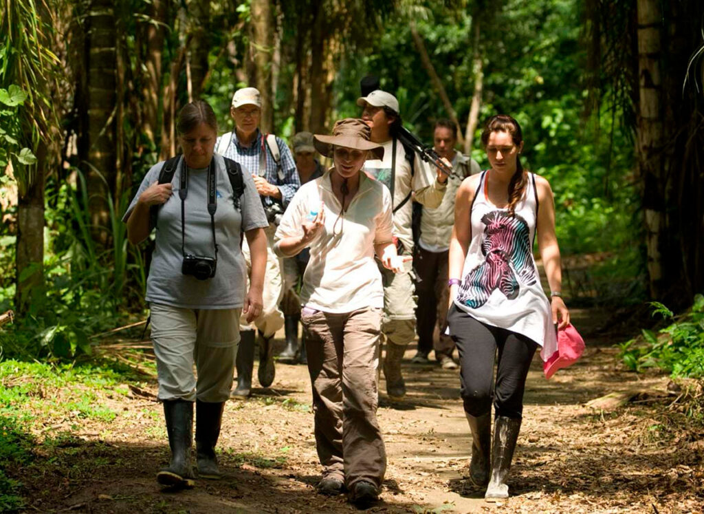 Grupo de visitantes realizando una caminata guiada por la selva del Parque Nacional del Manu, observando la flora y fauna bajo la orientación de guías locales