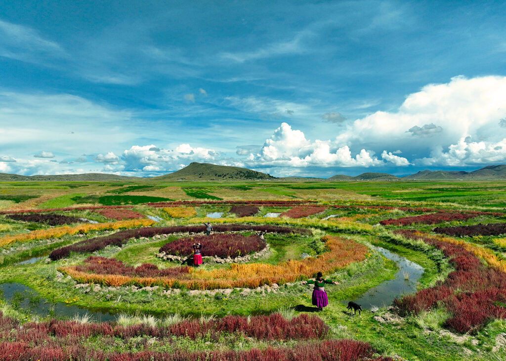 Waru warus reactivados en Ácora, Puno, con campesinos trabajando entre los canales de agua y cultivos que reflejan el cielo del altiplano andino