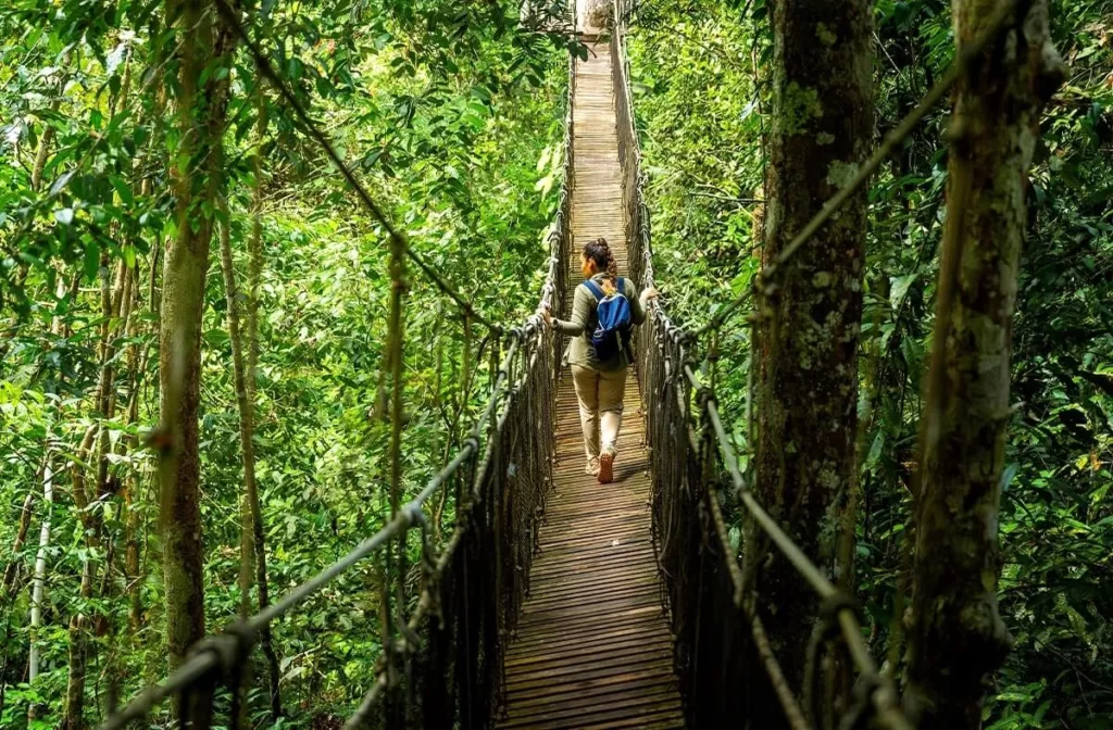 Mujer caminando sobre un puente colgante en el dosel de la Amazonía peruana durante un recorrido de observación en altura