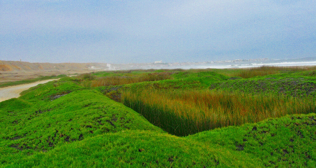 Vista de los Pantanos de Huanchaco con extensos totorales y el litoral visible al fondo
