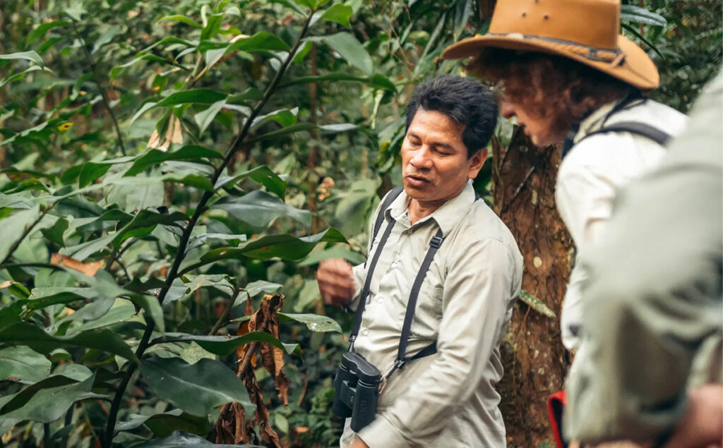 Guía local mostrando características de plantas en un recorrido etnobotánico en la Amazonía peruana